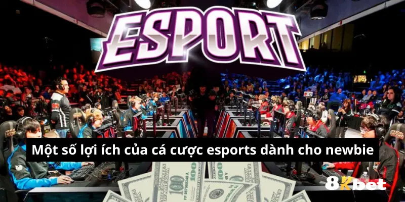 Đặt Cược Esport Uy Tín - Cá Cược Tại BONG88